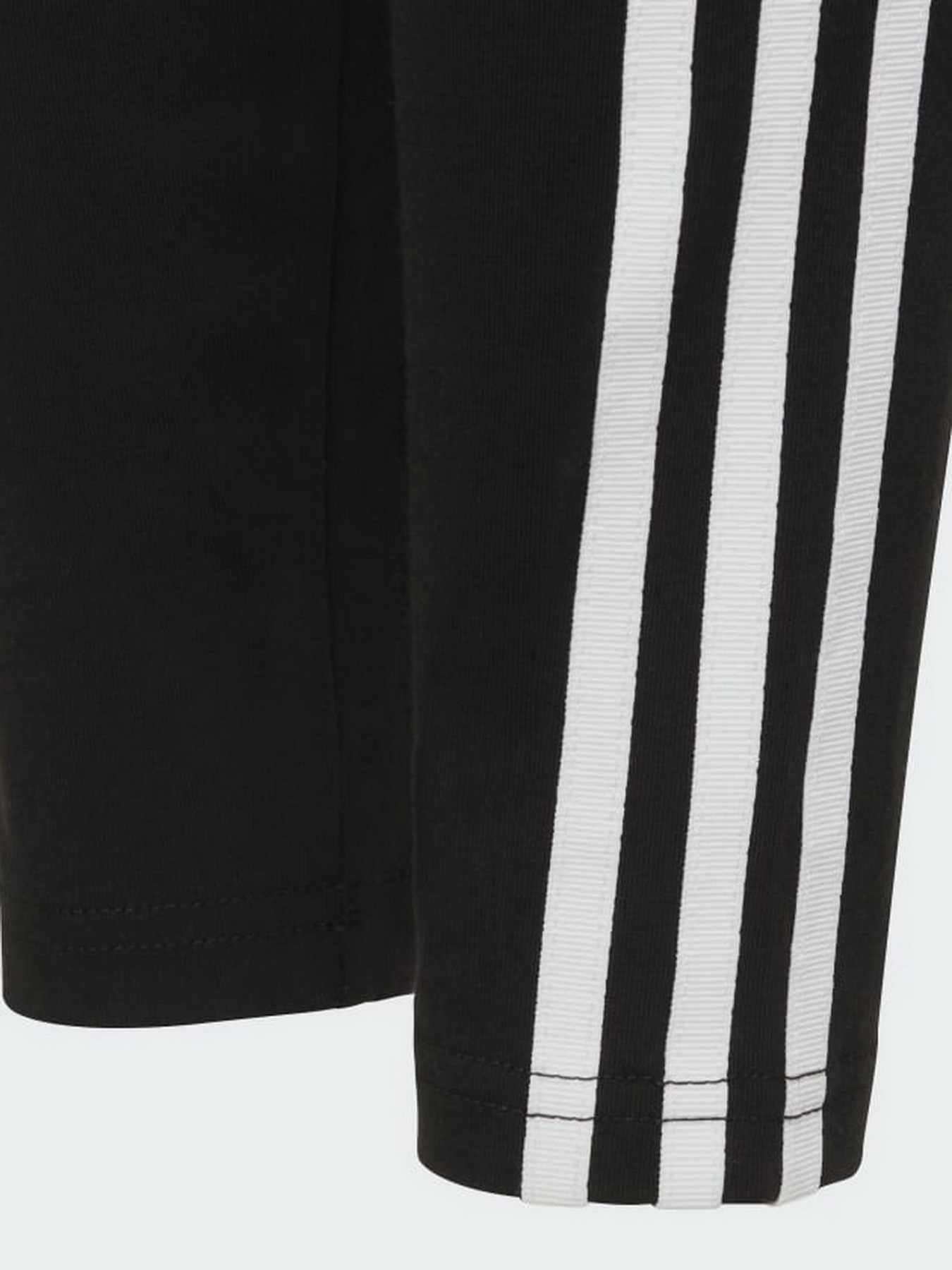 Леггинсы спортивные Adidas Adicolor модель HD2025 Фото