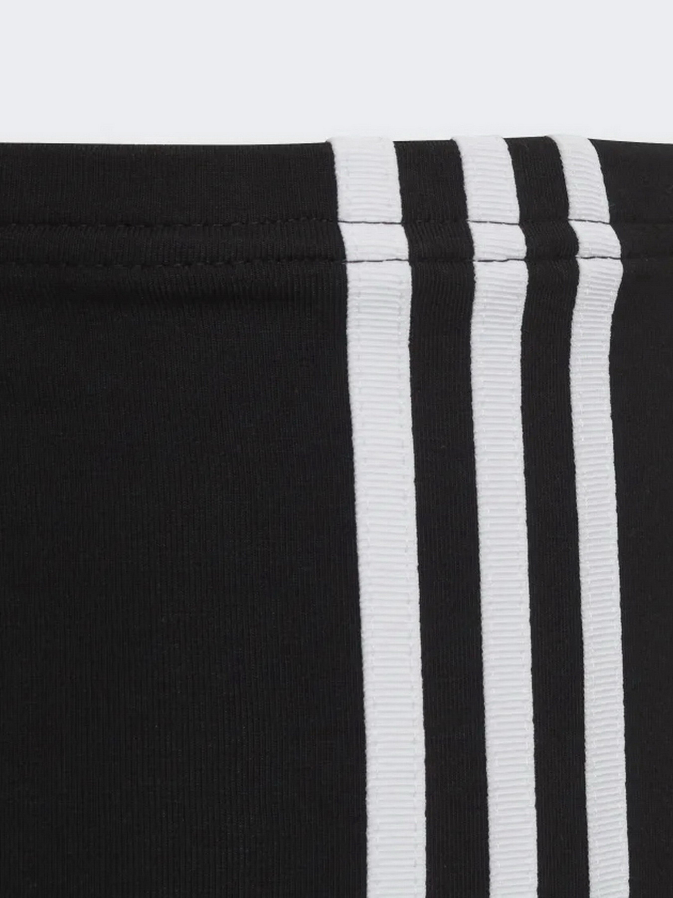 Леггинсы спортивные Adidas Adicolor модель HD2025 Фото