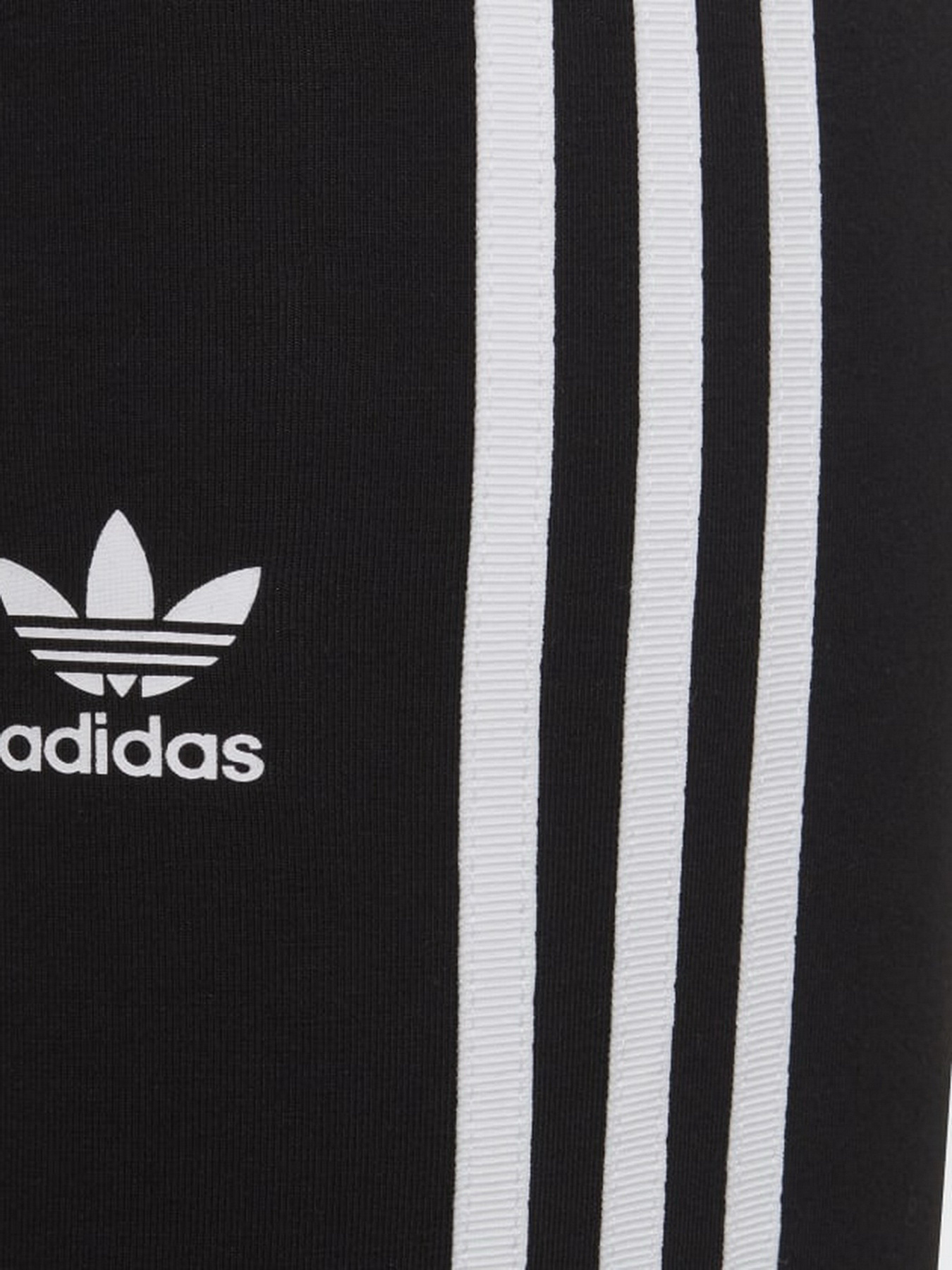 Спортивные леггинсы Adidas Adicolor модель HD2025 Фото