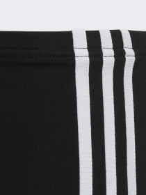 Спортивные леггинсы Adidas Adicolor модель HD2025 Фото