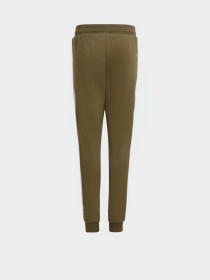 Штаны спортивные Adidas 3-Stripes Trefoil модель HD2048 Фото