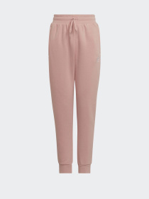 Штаны спортивные Adidas Adicolor модель HD2056 Фото