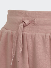 Штаны спортивные Adidas Adicolor модель HD2056 Фото