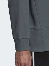 Худі Adidas Essentials Studio Fleece модель HD6750 Фото