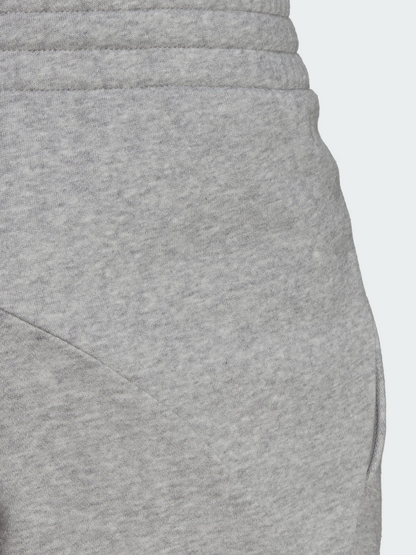 Штаны спортивные Adidas Essentials 4 GAMEDAY модель HE1809 Фото