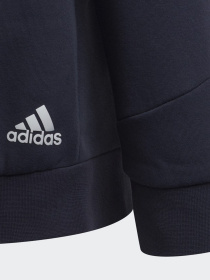 Худи Adidas Future Icons 3-Stripes модель HE1922 Фото