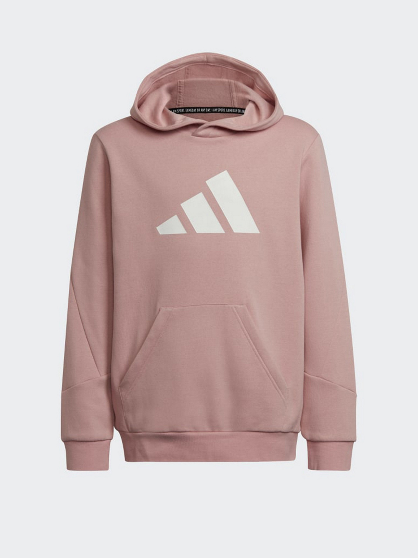 Худи Adidas Future Icons 3-Stripes модель HE1923 Фото