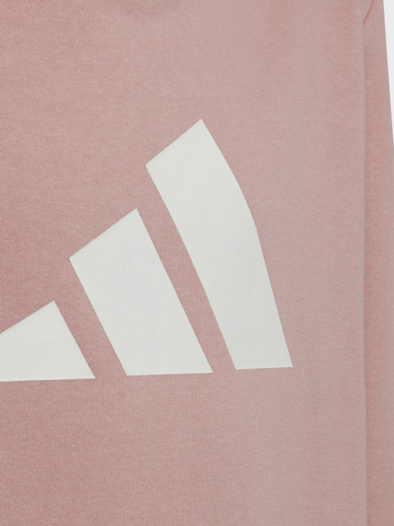 Худи Adidas Future Icons 3-Stripes модель HE1923 Фото