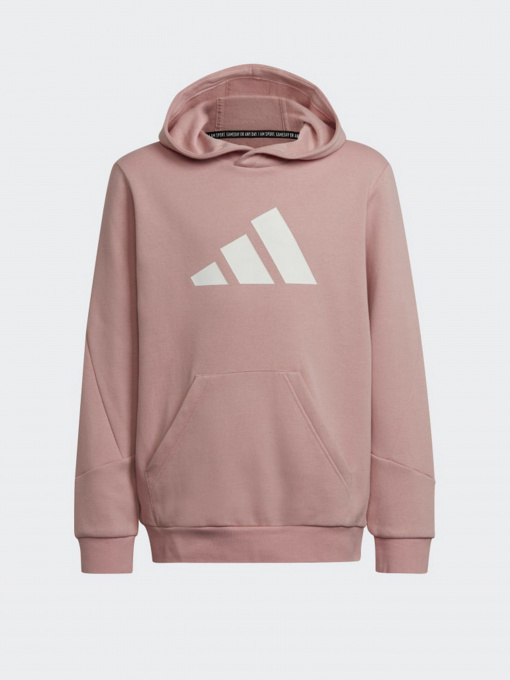 Худи Adidas Future Icons 3-Stripes модель HE1923 Фото