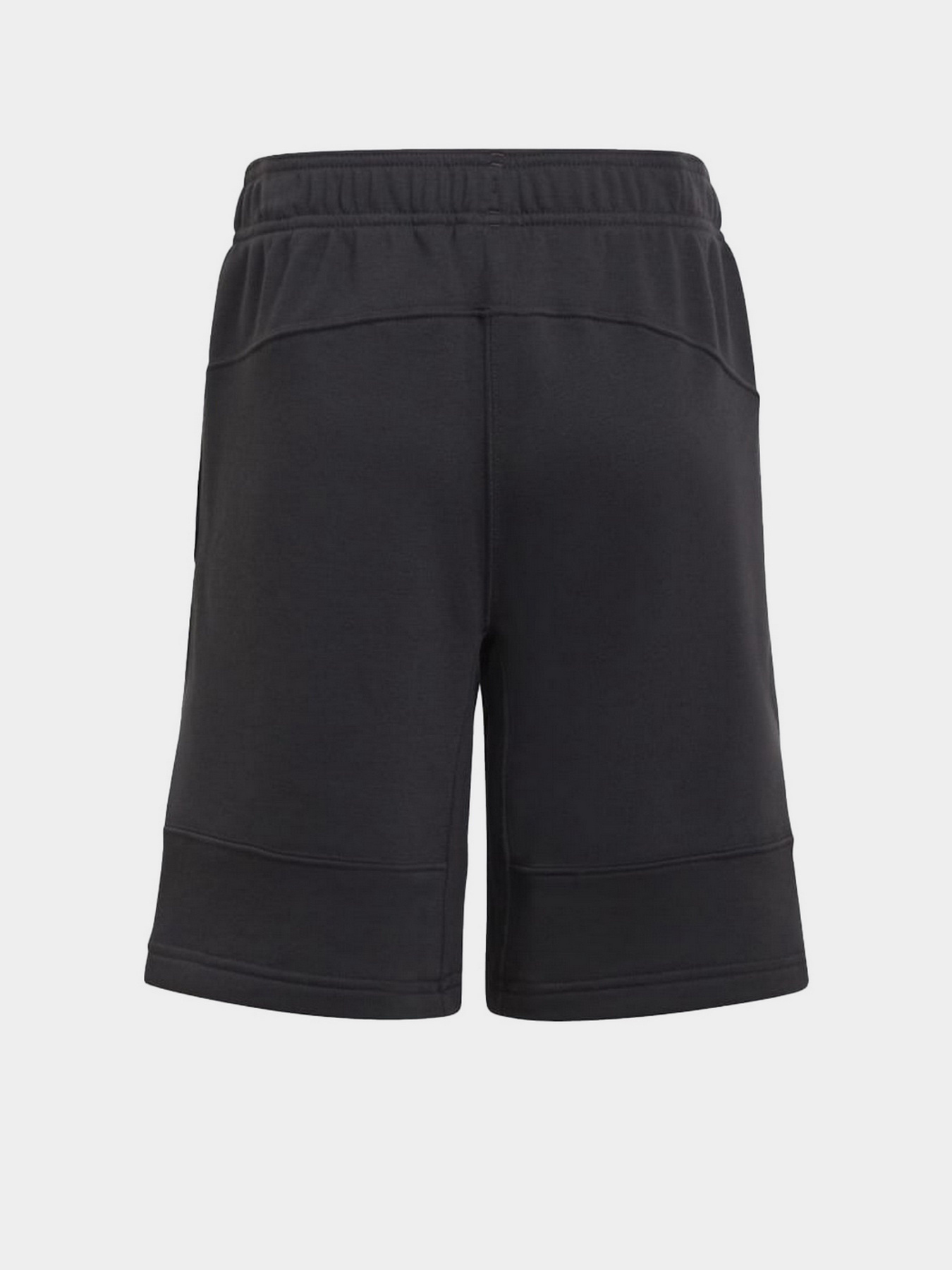 Шорты Adidas Adventure модель HE2061 Фото