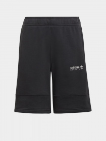 Шорты Adidas Adventure модель HE2061 Фото