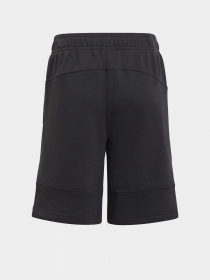 Шорты Adidas Adventure модель HE2061 Фото