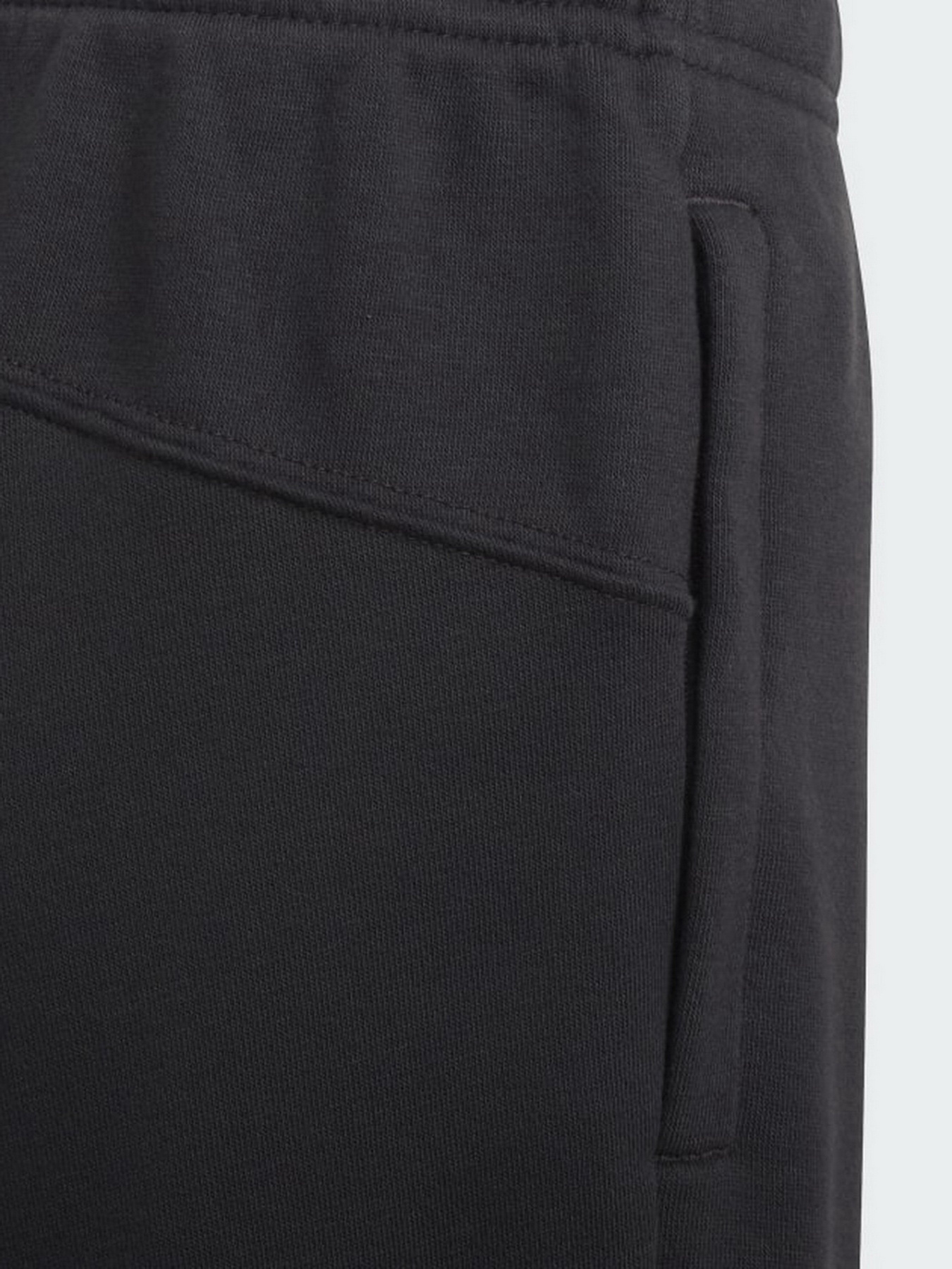 Повсякденні шорти Adidas Adventure модель HE2061 Фото