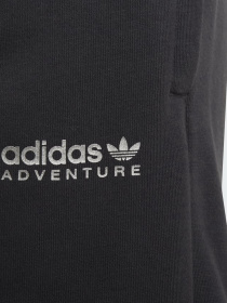 Повсякденні шорти Adidas Adventure модель HE2061 Фото