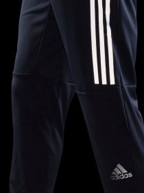 Штаны спортивные Adidas Run Icon Performance модель HE2471 Фото