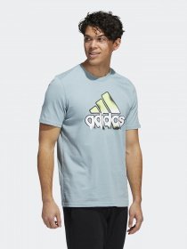Футболка Adidas SUMMER HEAT BADGE OF SPORT модель HE4814 Фото