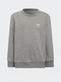 Спортивный костюм Adidas Adicolor Crew модель HE6910 Фото