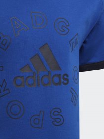 Спортивный комплект Adidas Essentials Logo Set модель HF1896 Фото