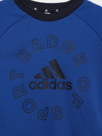 Спортивный костюм Adidas Lk Logo Jog Set Performance модель HF1899 Фото