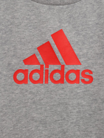 Спортивный костюм Adidas Badge of Sport Performance модель HF1958 Фото