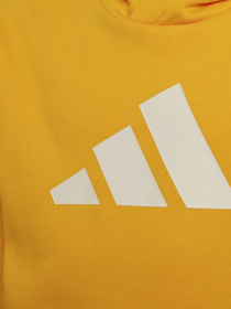 Худи Adidas Future Icons 3-Stripes модель HF2181 Фото