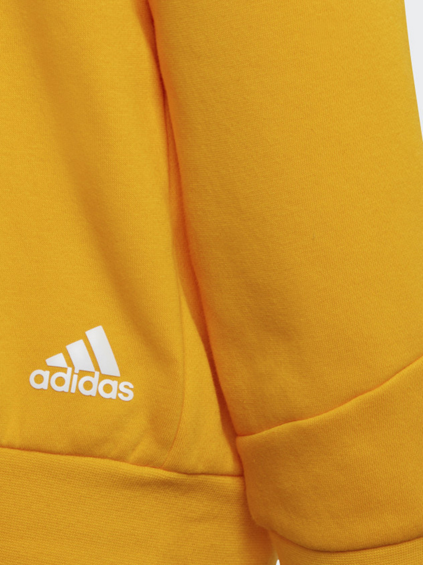 Худи Adidas Future Icons 3-Stripes модель HF2181 Фото