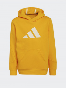 Худи Adidas Future Icons 3-Stripes модель HF2181 Фото