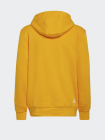 Худи Adidas Future Icons 3-Stripes модель HF2181 Фото