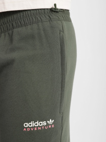 Штаны спортивные Adidas Adventure Originals модель HF4772 Фото