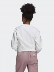 Свитшот Adidas ADICOLOR CLASSICS HIGH SHINE CREW модель HF7531 Фото