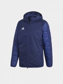 Зимняя куртка Adidas Winter 18 Performance модель CV8271 Фото