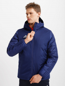 Зимова куртка Adidas Winter 18 Performance модель CV8271 Фото