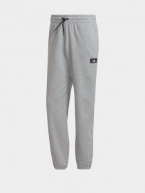 Штаны спортивные Adidas Future Icons модель HA1398 Фото