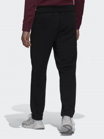 Штаны спортивные Adidas Sportswear Z.N.E. модель GT3743 Фото