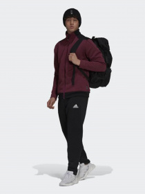 Штаны спортивные Adidas Sportswear Z.N.E. модель GT3743 Фото