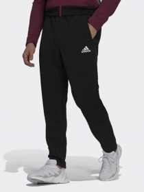 Штаны спортивные Adidas Sportswear Z.N.E. модель GT3743 Фото