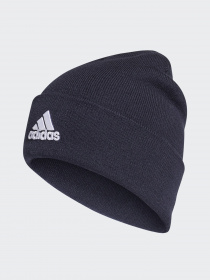 Шапка Adidas LOGO WOOLIE PERFORMANCE модель FT8842 Фото