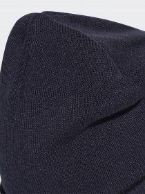 Шапка Adidas LOGO WOOLIE PERFORMANCE модель FT8842 Фото