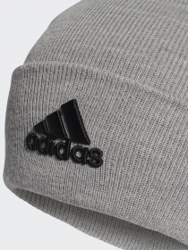 Шапка Adidas LOGO PERFORMANCE модель GE0596 Шапка Adidas LOGO PERFORMANCE модель GE0596 Фото