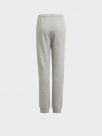 Штаны спортивные Adidas Essentials модель GS4304 Фото