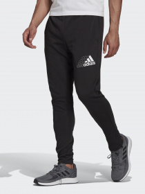 Штаны спортивные Adidas Essentials Logo модель GS4875 Фото