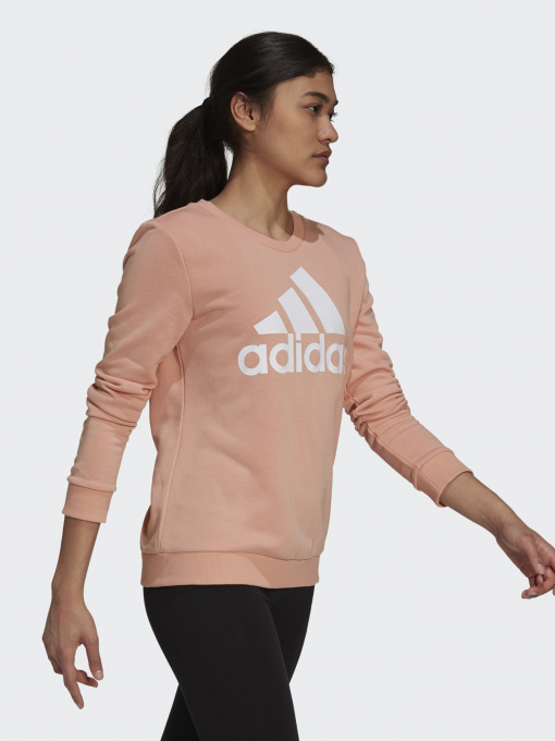Свитшот Adidas Essentials Relaxed Logo модель H07794 Фото