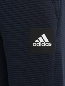 Штаны спортивные Adidas Stadium модель H10219 Фото