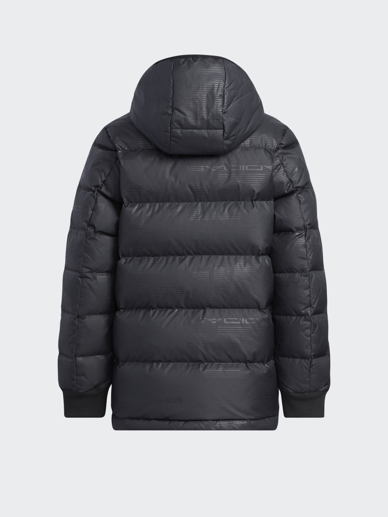 Зимова куртка Adidas Performance модель H45038 Фото