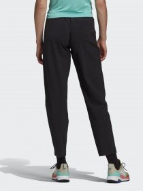 Штаны спортивные Adidas Terrex Liteflex Hiking модель GI7176 Штаны спортивные Adidas Terrex Liteflex Hiking модель GI7176 Фото