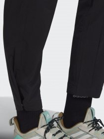 Штаны спортивные Adidas Terrex Liteflex Hiking модель GI7176 Штаны спортивные Adidas Terrex Liteflex Hiking модель GI7176 Фото