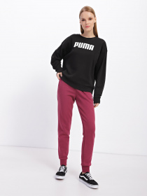 Штани спортивні Adidas Essentials модель H07865 Фото