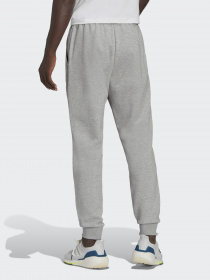 Штаны спортивные Adidas Future Icons Doubleknit модель HA1418 Фото