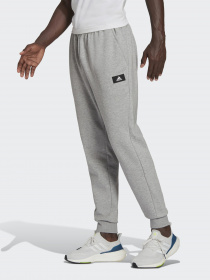 Штаны спортивные Adidas Future Icons Doubleknit модель HA1418 Фото