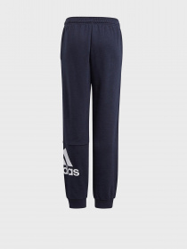 Штаны спортивные Adidas ESSENTIALS Performance модель GN4036 Фото